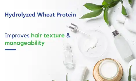 The Benefits of Hydrolyzed Wheat Protein On Hair